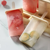 Reusable Popsicle Molds with Tray – 4 or 9-Cavity DIY Ice Cream Maker
